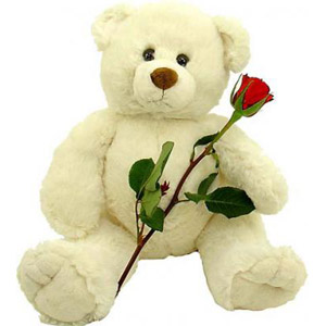 Teddy and Flowers Delivery Lahore - FromYouFlowers.pk