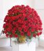 Valentine's Day Red Flowers Pakistan - FromYouFlowers.pk