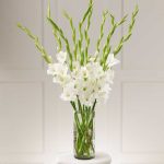 Bouquet Delivery Rawalpindi - FromYouFlowers.pk