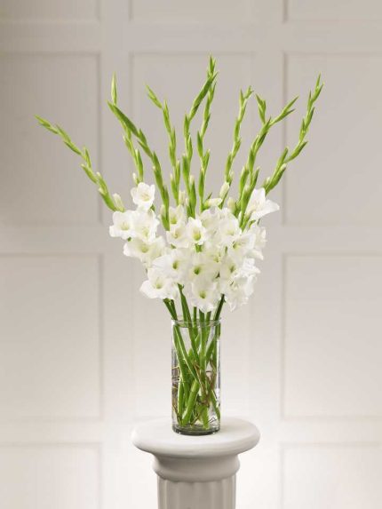 Bouquet Delivery Rawalpindi - FromYouFlowers.pk