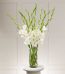 Bouquet Delivery Rawalpindi - FromYouFlowers.pk