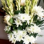 Box of White Love