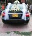 Wedding Flowers Car Decor Lahore - FromYouFlowers