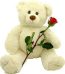 Teddy and Flowers Delivery Lahore - FromYouFlowers.pk