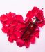 Online Perfumes Delivery Pakistan - FromYouFlowers.pk