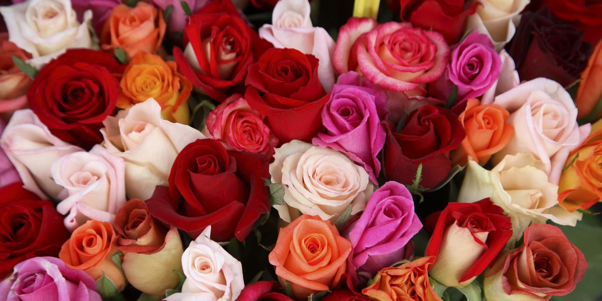 mix flowers delivery to Pakistan-fromyouflowers.pk