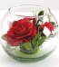 Online Flowers Pakistan - FromYouFlowers.pk