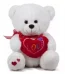 Send Teddy Bear to Lahore - FromYouFlowers.pk