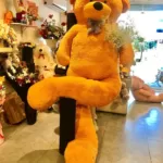 Send a Teddy Gift Lahore - FromYouFlowers.pk