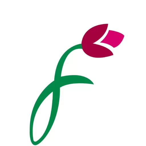 From You Flowers Same Day Flowers Delivery In Pakistan