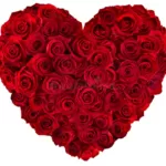 Online Valentine Flower Delivery Lahore - FromYouFlowers.pk