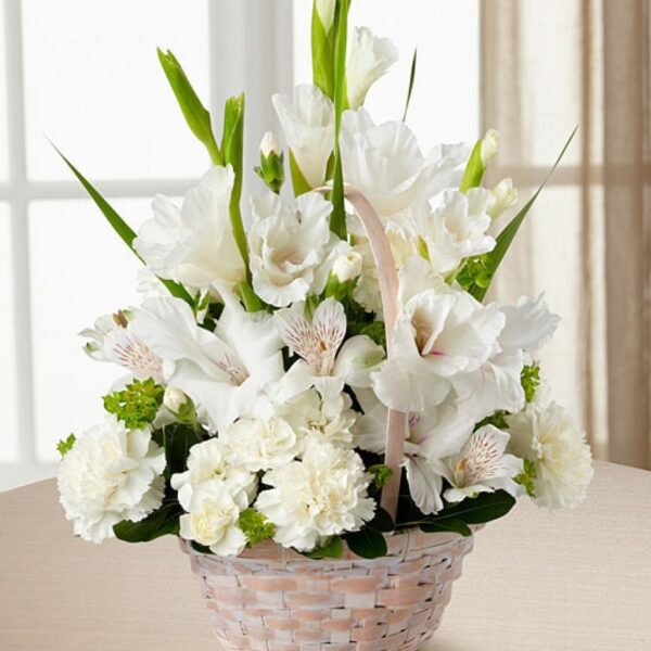Premium White Flowers