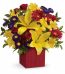 Send Same Day Flowers Lahore - FromYouFlowers.pk