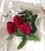Online Red Rose Pakisan - Fromyouflowers.pk