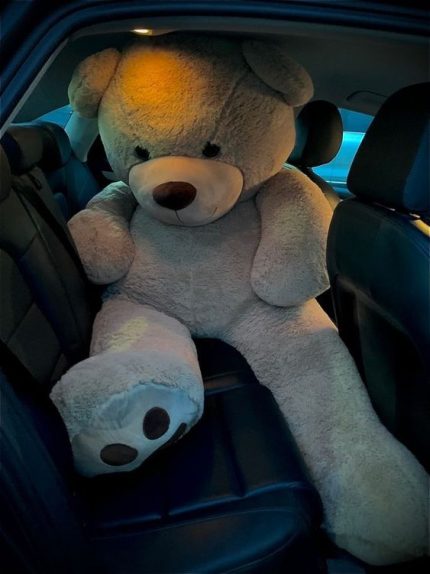 Teddy Bear Gift Delivery Lahore - Fromyouflowers.pk