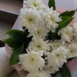 Flower Shop Lahore - FromYouFlowers.pk