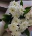 Flower Shop Lahore - FromYouFlowers.pk