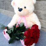 Red Rose and Teddy Pakistan - FromYouFlowers.pk