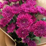 Fresh Flowers Lahore - Fromyouflowers.pk