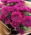 Fresh Flowers Lahore - Fromyouflowers.pk