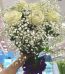 Bride to be Bouquet Pakistan - FromYouFlowers.pk