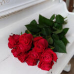 Long Stem Roses Delivery Pakistan - FromYouFlowers.pk