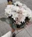 Flowers Delivery to Islamabad from US - FromYouFlowers.pk