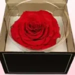 Send Valentine Gifts to Pakistan from USA - FromYouFlowers.pk