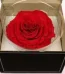 Send Valentine Gifts to Pakistan from USA - FromYouFlowers.pk