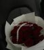 Send Valentine Flower to Lahore from UK- FromYouFlowers.pk