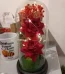 Same Day Valentine Flowers to Lahore from UK - FromYouFlowers.pk