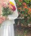 Flowers for Mom in Karachi Pakistan -FromYouFlowers.pk