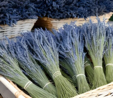 dried flowers