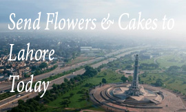 Send Flowers & Cakes to Lahore Today