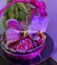 Eid Gift Basket Ideas Lahore - FromYouFlowers.pk