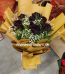 Black Roses and Baby's Breath Lahore - FromYouFlowers.pk