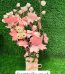 Pink Roses Tree Lahore - FromYouFlowers.pk