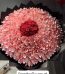 Eidi Money Gift Lahore - FromYouFlowers.pk