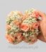 Fresh Flowers Gajray Lahore - FromYouFlowers.pk