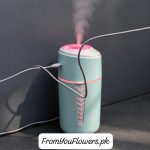Portable USB humidifier Lahore - FromYouFlowers.pk