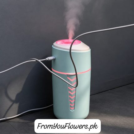 Portable USB humidifier Lahore - FromYouFlowers.pk